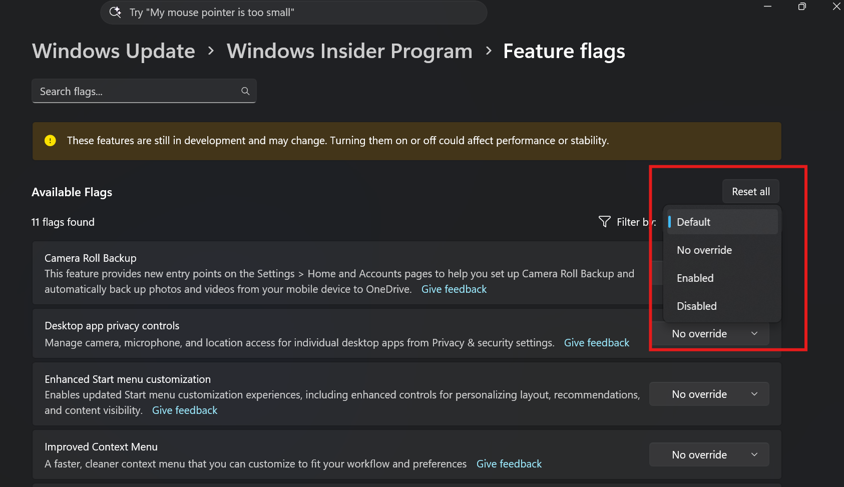 Feature flags filtered by enablement state on the Windows Insider Program settings page.